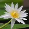 Фото профиля とうえん