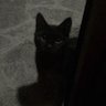 L's profile picture