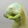 ゴジラになれますように's profile picture