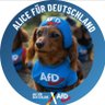 Thomas Anderman 🇩🇪💙🦅🐑 的头像