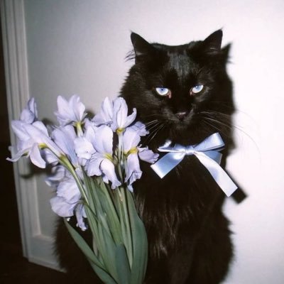 myi1327366's profile picture