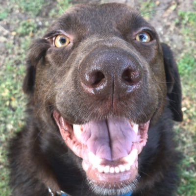 MaggeDelbene's profile picture