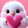 Profilbild von عبير احمد 💌