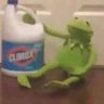casein's profile picture