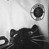 Joff 🎧🪿 profil fotoğrafı