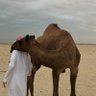 Profilbild von نايف العتيبي
