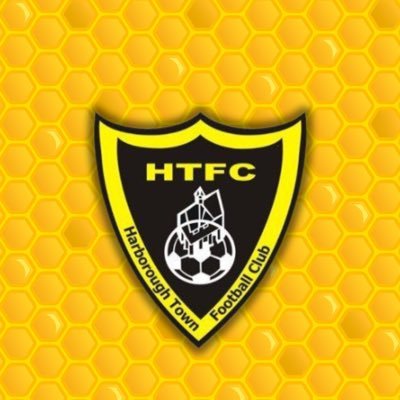 Harborough Town FC 🐝's profile picture
