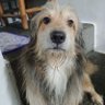 Profilbild von georgeofthejunction