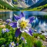 Фото профиля Monares Dan