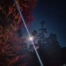 Фото профиля moonmoon