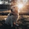 Ryan's profile picture