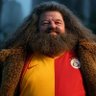 Фото профиля Rubeus Hagrid