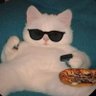 Profilbild von Syed๐