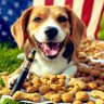 JNM🇺🇸2112🇺🇸's profile picture