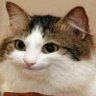 Попита Пуволсний's profile picture