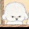 Profilbild von V