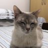cansadah profil fotoğrafı