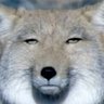 み か ど's profile picture