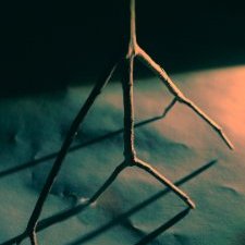 SozoromaruMusic's profile picture