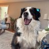 Mookie's profile picture
