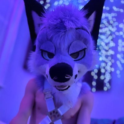 luthershole's profile picture