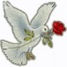 ابن مصر المحروسه اهلاوي و الفخر لي's profile picture