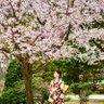 せつ profil fotoğrafı