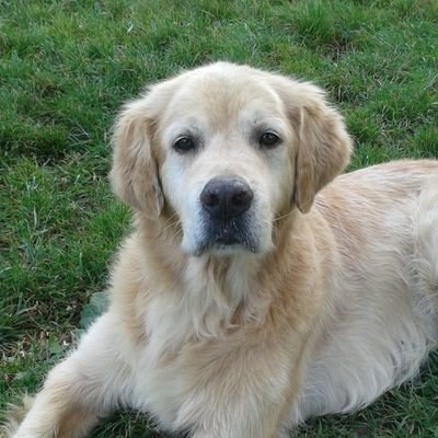 Mainzer1974's profile picture