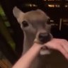 ralph's profile picture