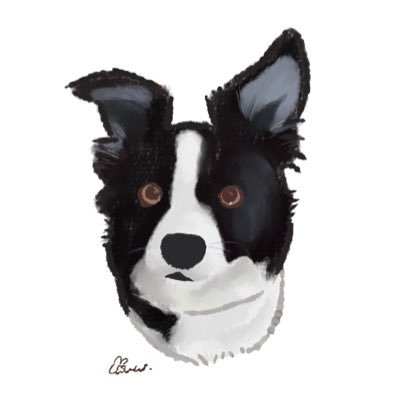 みるく@ボーダーコリー's profile picture