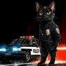 DarkCatCop profil fotoğrafı