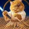 Profilbild von Oh my Gatos!