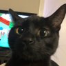 Marj's profile picture