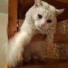 aver64 profil fotoğrafı
