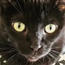 Фото профиля Carme :-)🇮🇱.CAT