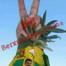 Profilbild von نيروز هاشم