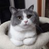 Profilbild von milaco