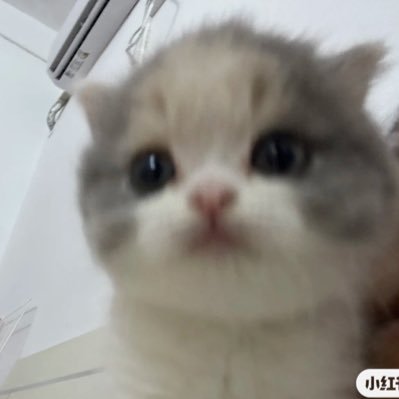 mj66p's profile picture