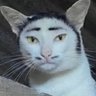 Фото профиля ぽーかー