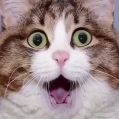 PVUiszItO192299's profile picture