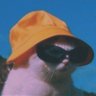 GasuJr's profile picture