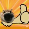 eDi's profile picture