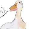 Profilbild von しらんがなはまほうのことばじゃないよ