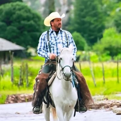 MrNickKnowles's profile picture