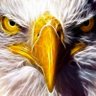 Profilbild von Crypto Eagle