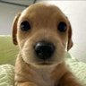 love 的头像