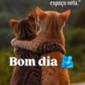 Profilbild von fofoca temos, posição política temos, risadas tbm
