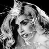 karma†shady𓃠 profil fotoğrafı