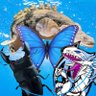 チョエチョエ profil fotoğrafı