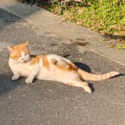 dafenmao1314's profile picture